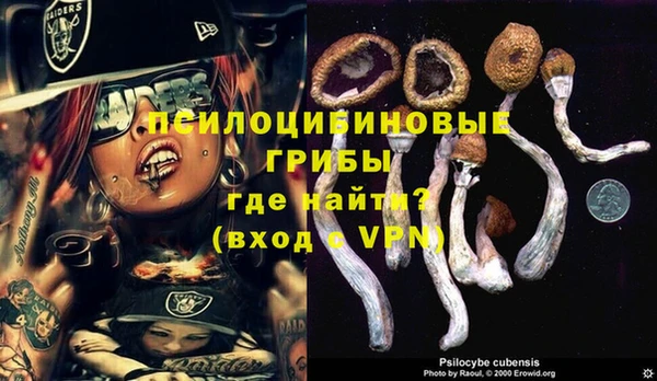 соль ск Алзамай