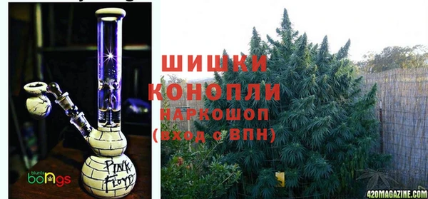 соль ск Алзамай
