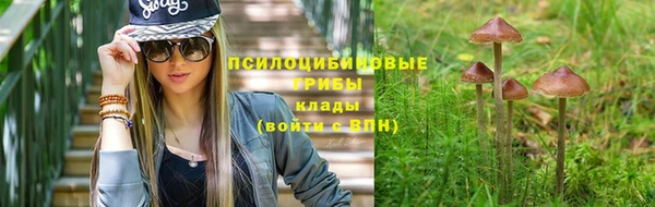соль ск Алзамай