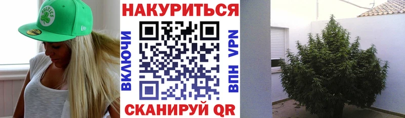 Каннабис VHQ  Купить закладки  Талдом 
